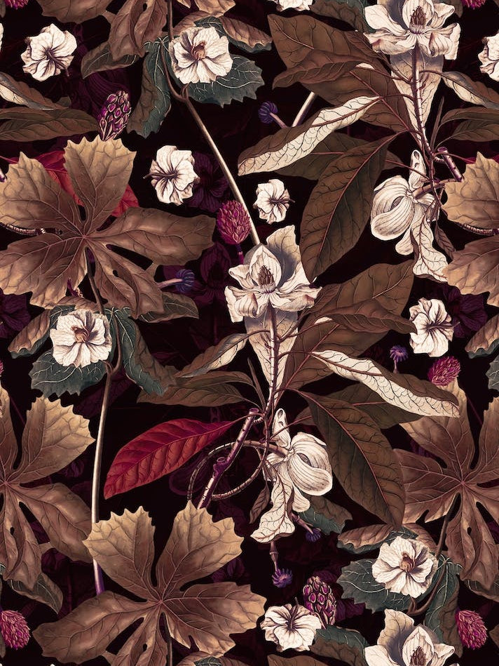 Winter Botanical Garden 2