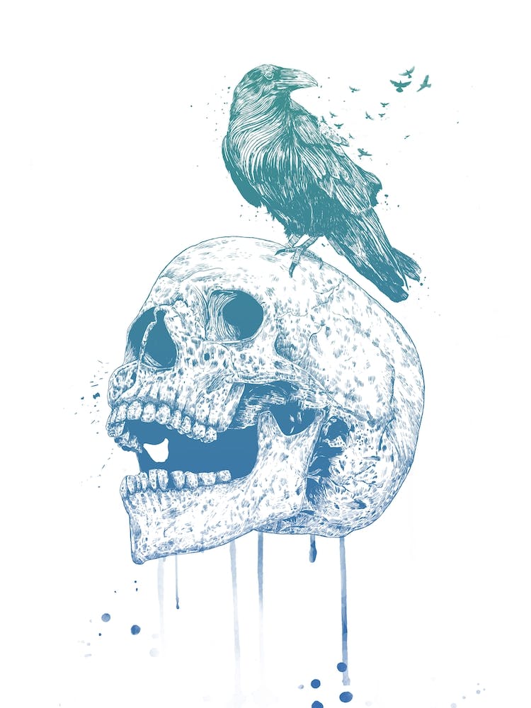 New skull