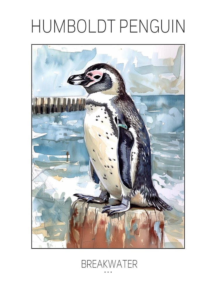 Humboldt Penguin Breakwater Watercolour Painting 1 Poster