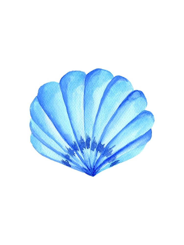 Blue Seashell