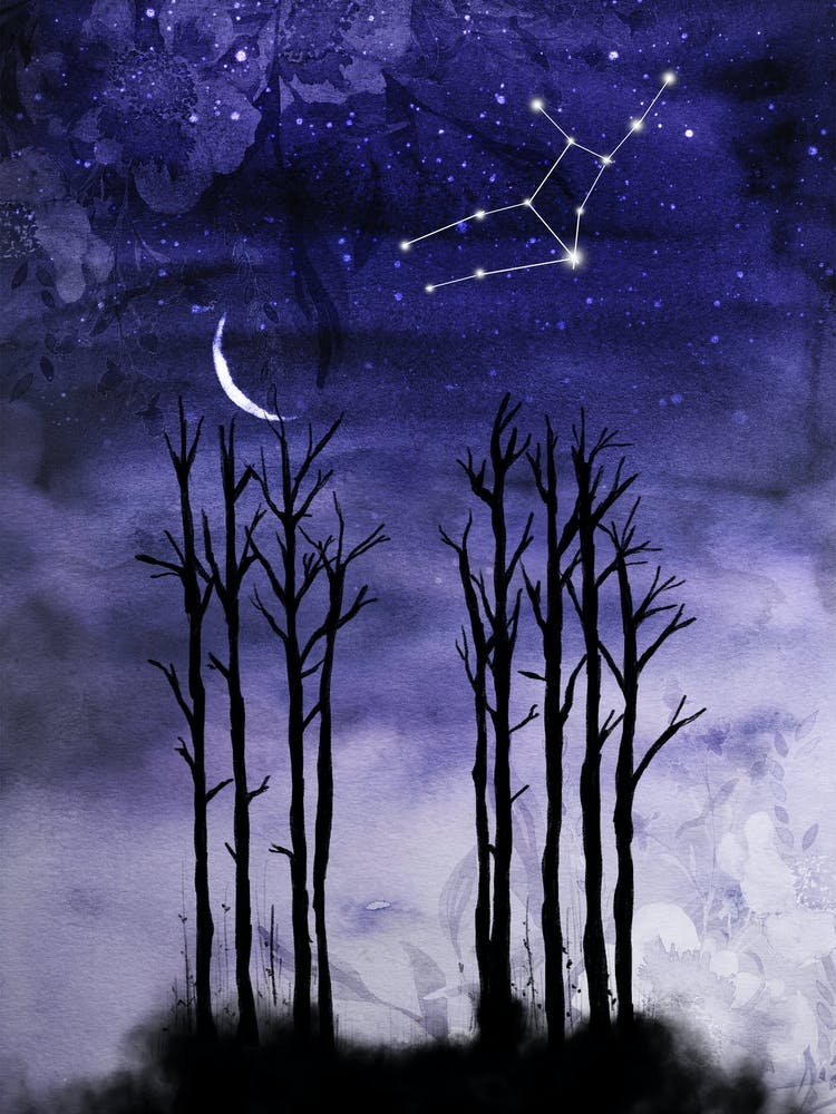 Night Sky With Stars And Trees - Starry Night and Moon #8