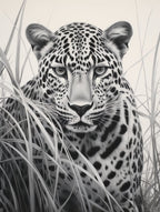 African Leopard Realism Portrait 1