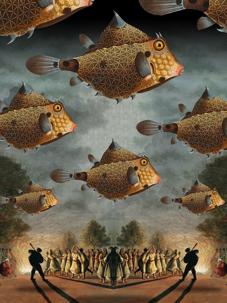 Migrationen