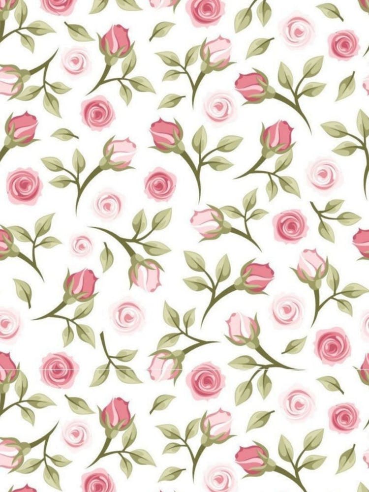 Roses On A White Background