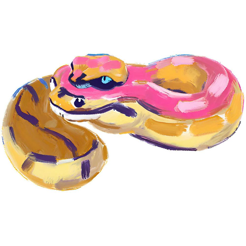 Ball Python Snake 07
