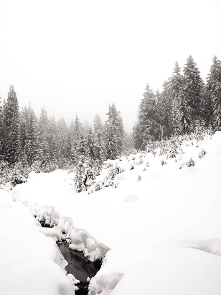 Schwarzer Fluss Weißer Winterwald