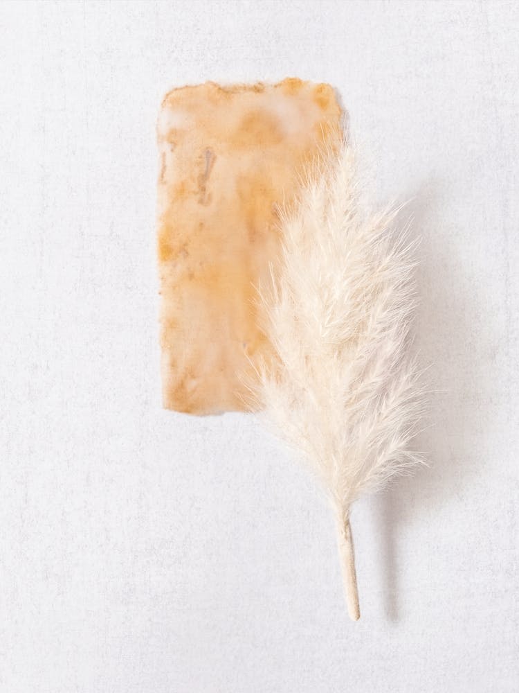 Terracotta Botanicals