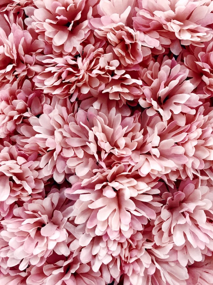 Pink Flowers Bouquete