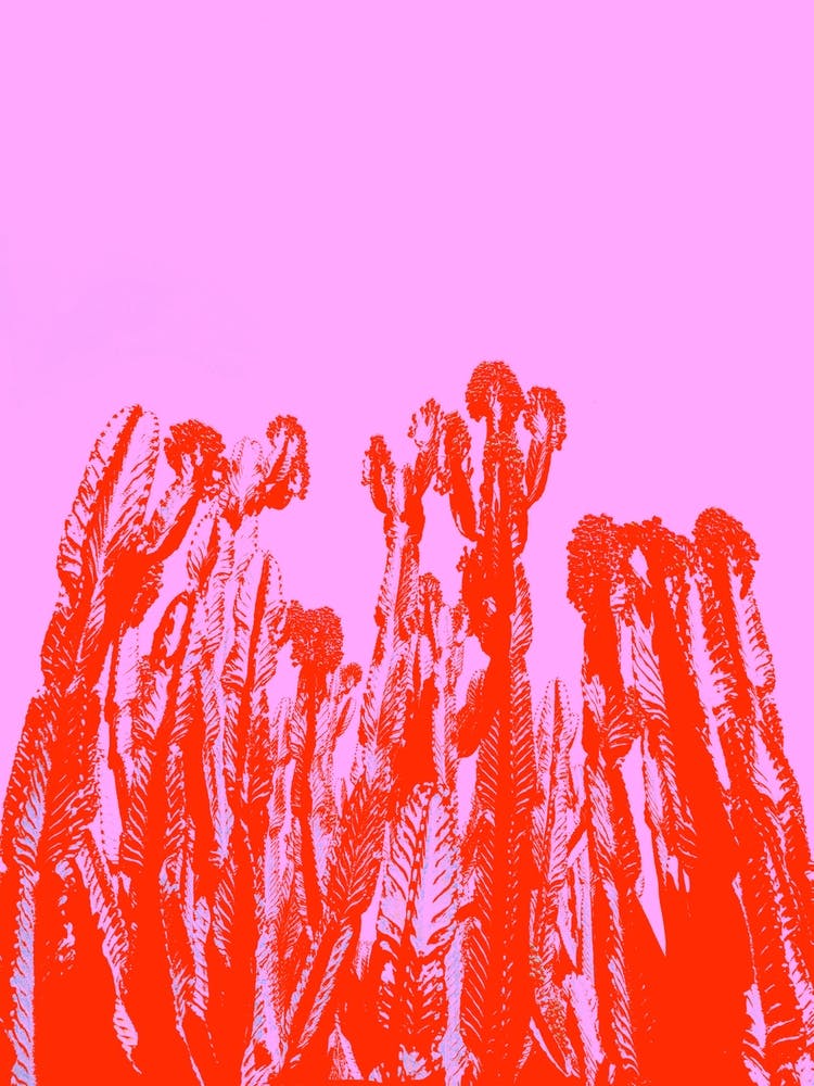 Contrast Mod Pink Red Pop Art