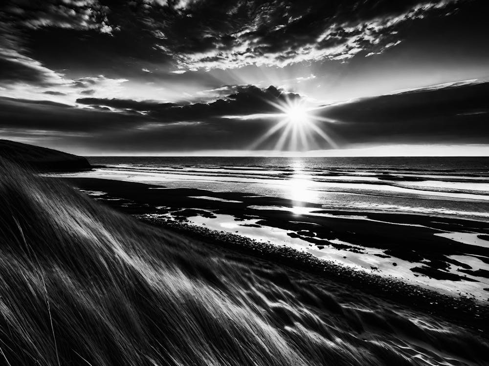 Black And White Photography 62