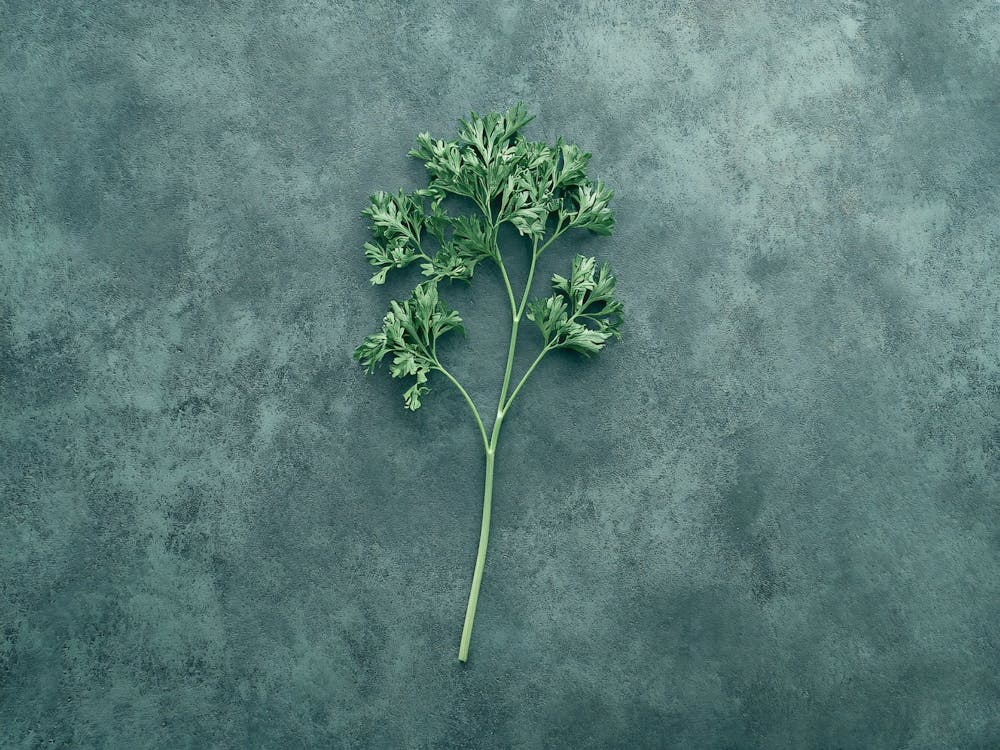 Parsley Kitchen