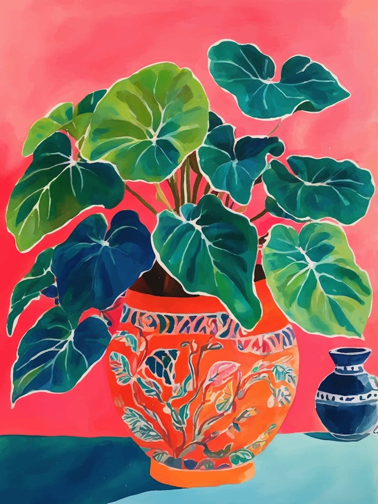 Colorful plant in a pot