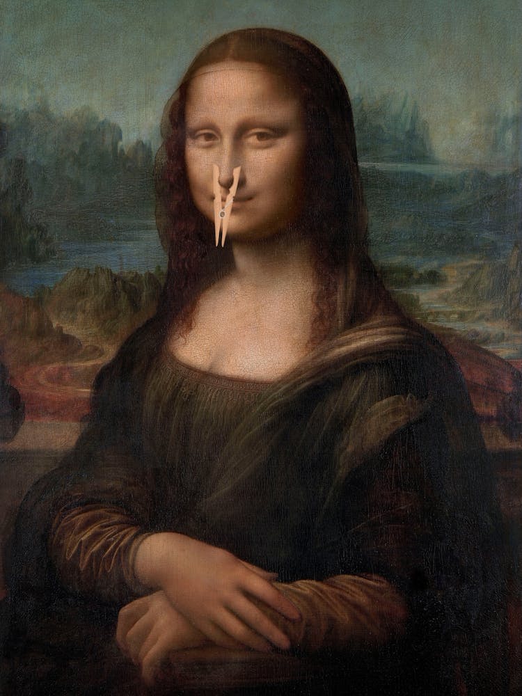 Funny Bathroom Mona Lisa
