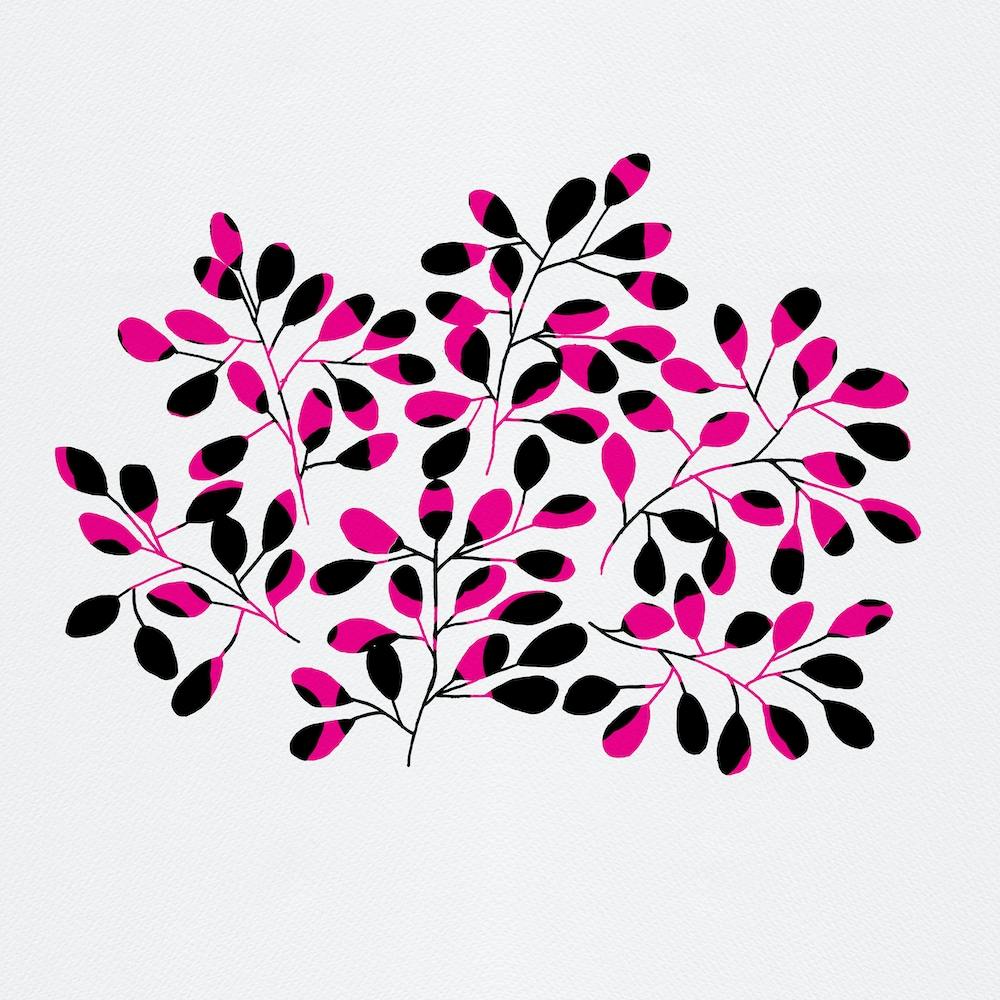 Leaf Sprig Pink Black