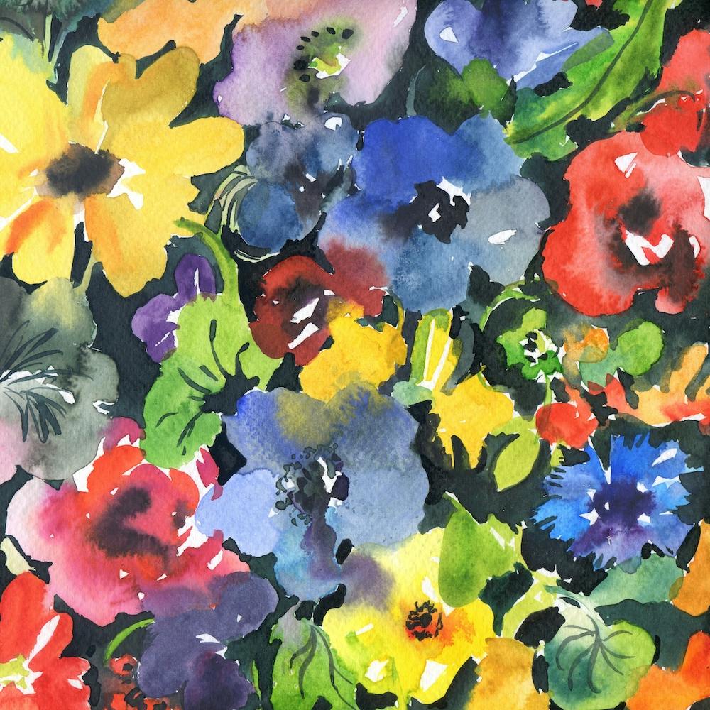 Midnight pansies