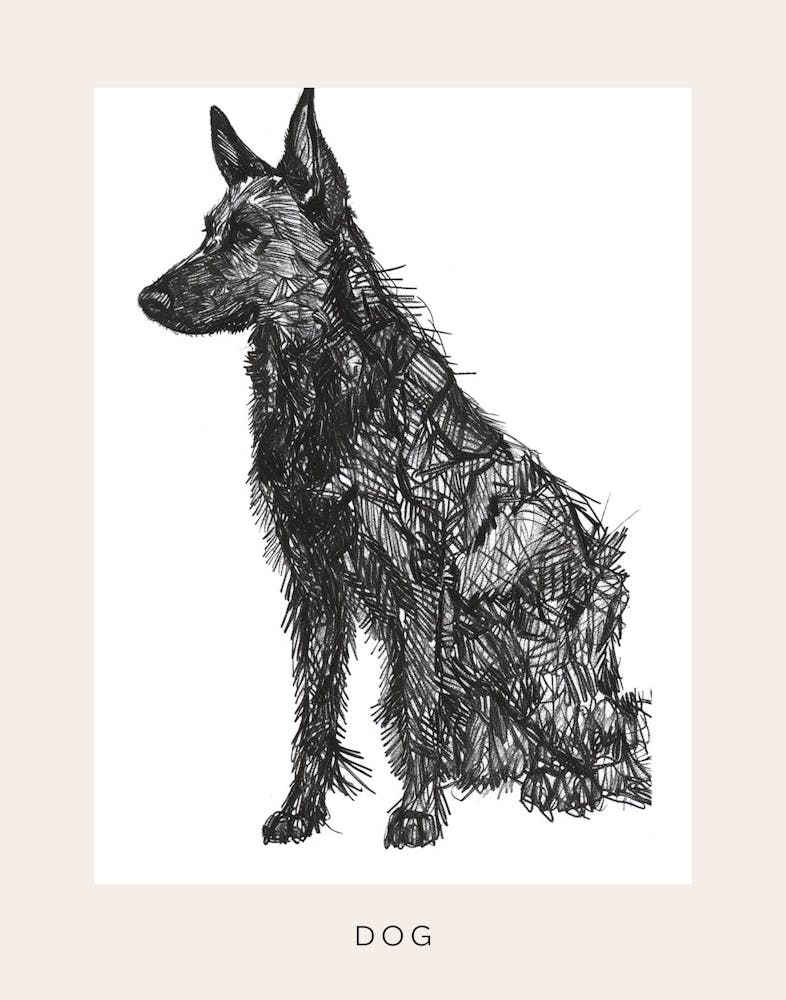 Furry Short Haired Dog Line Sketch 3 Poster