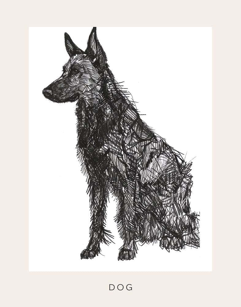 Furry Short Haired Dog Line Sketch 3 Poster