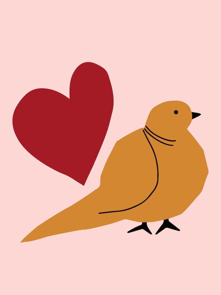 A Bird And A Heart