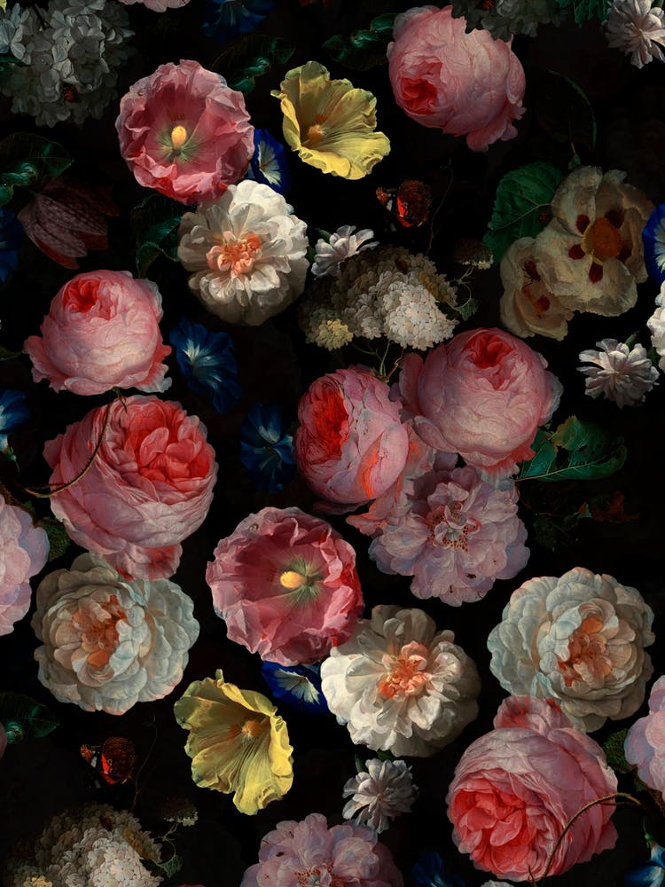 Antique Jan Davidsz De Heem Botanical Night Garden