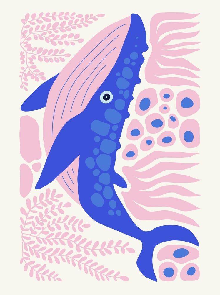 Whale Ocean Collection Boho