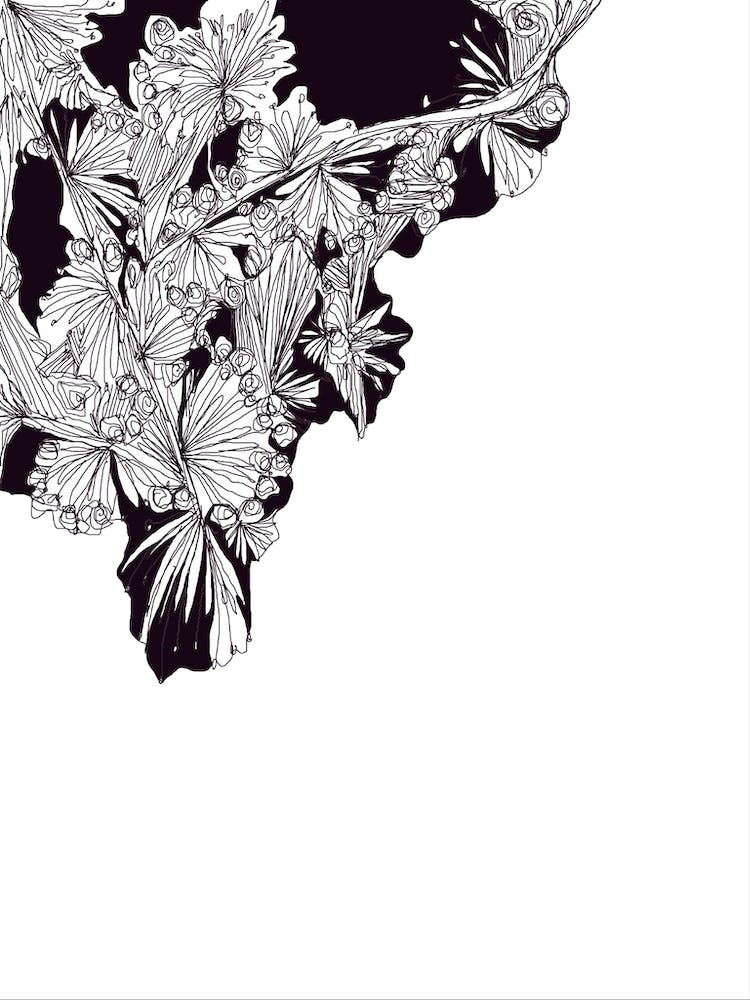 Blumen In Einer Vase