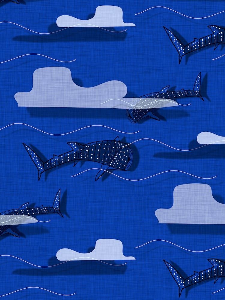 Whale Shark Blue