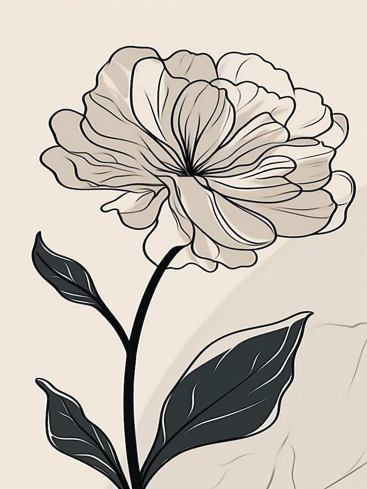 Line Art Marigold Flowers Illustration Neutral 19