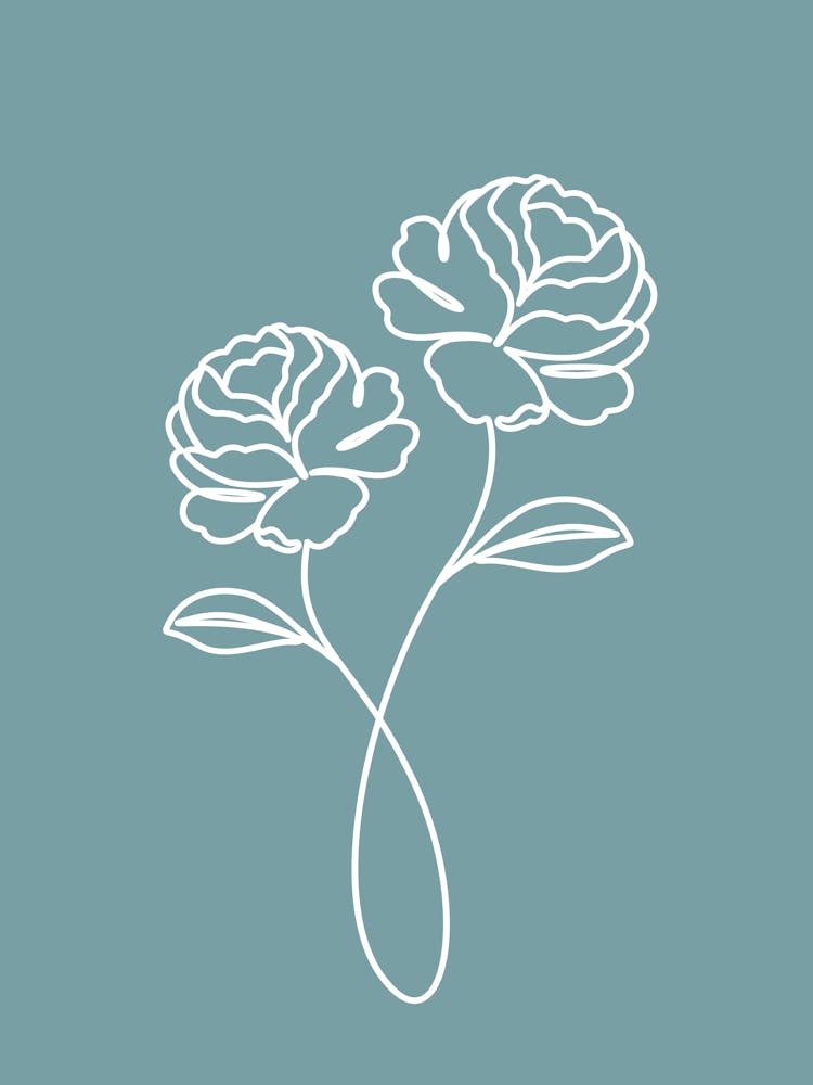 Peony Flowers Linear