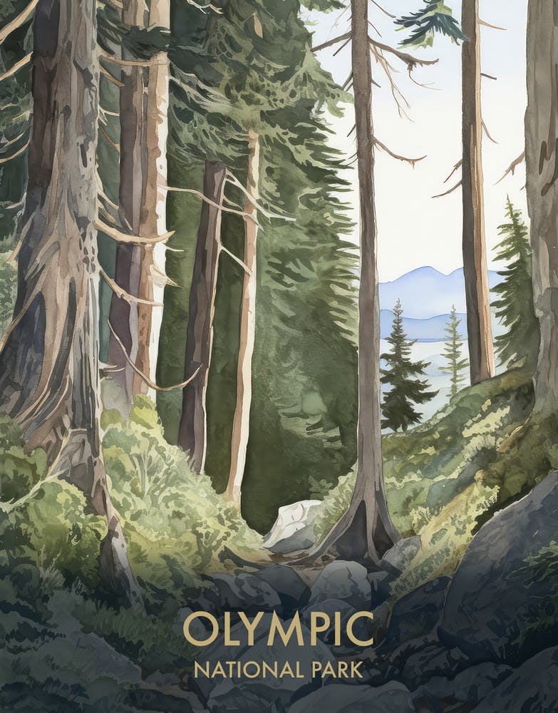 Olympic National Park Watercolour Vintage Travel Poster 2