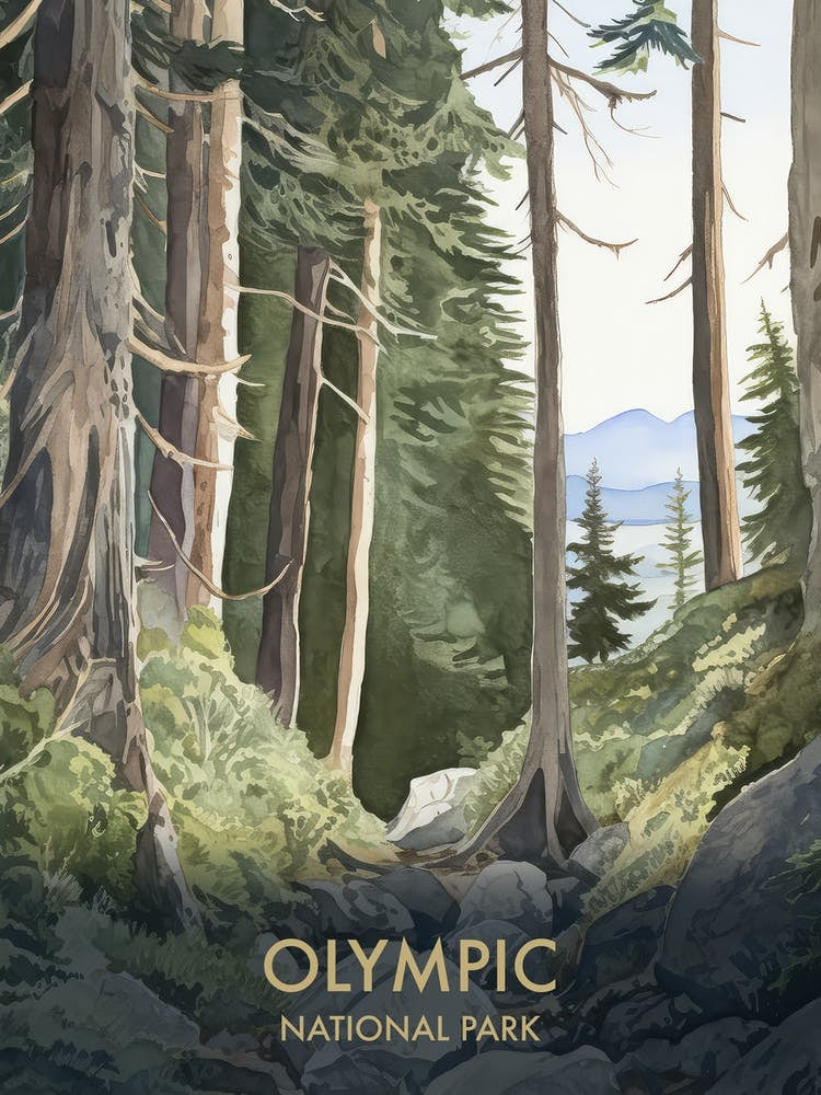 Olympic National Park Watercolour Vintage Travel Poster 2