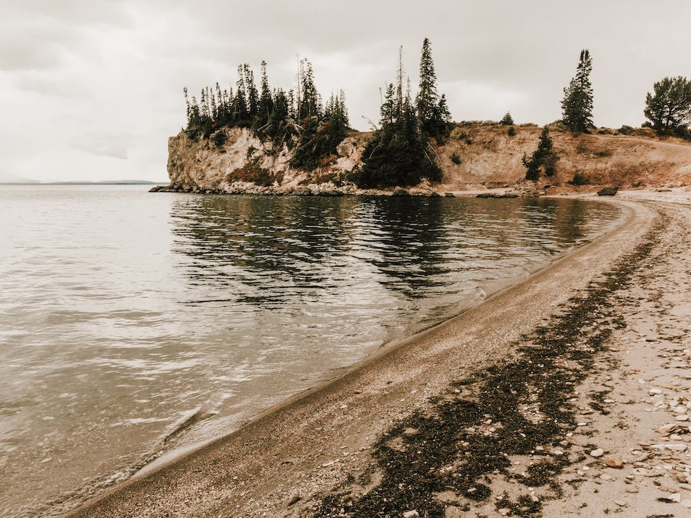Rustic Lake Shore
