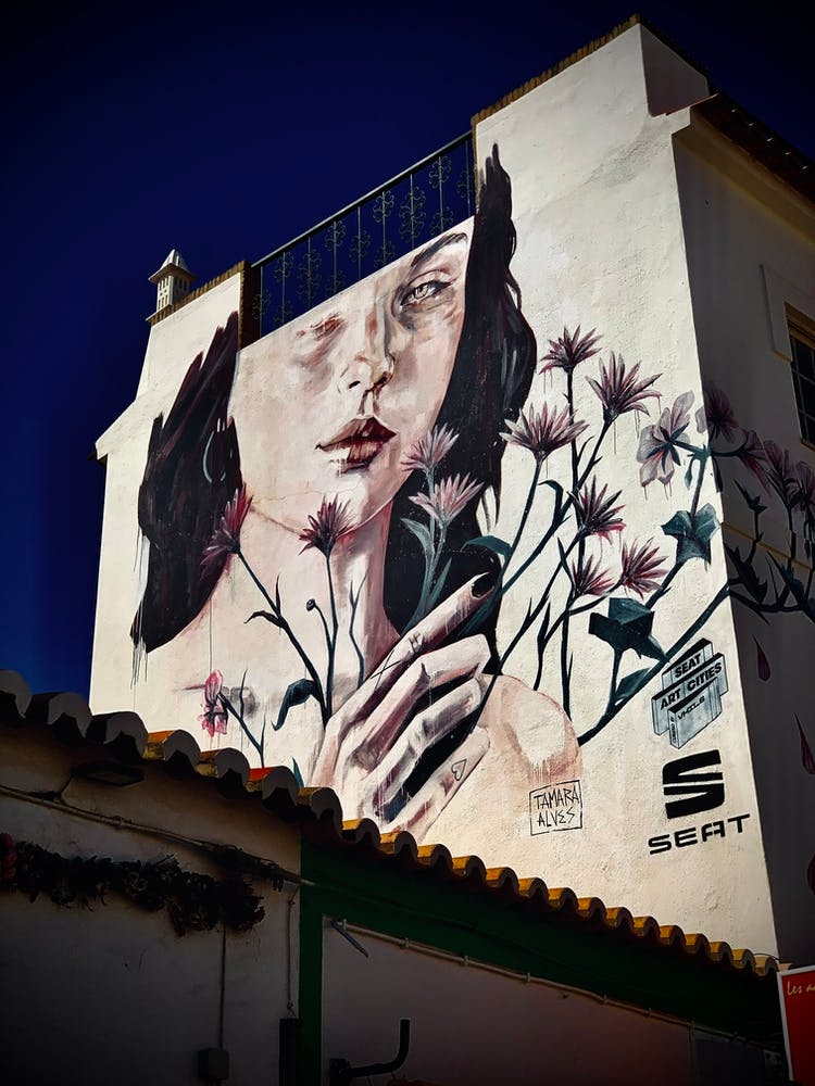 Street In Portugal