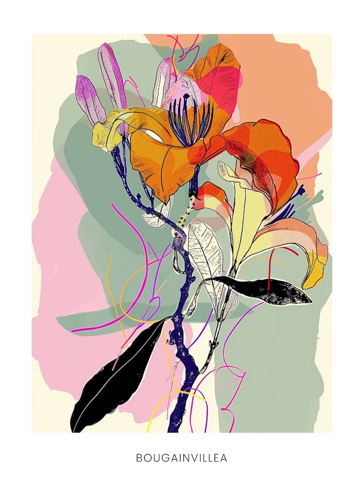 Colourful Flower Illustration Poster Bougainvillea 2