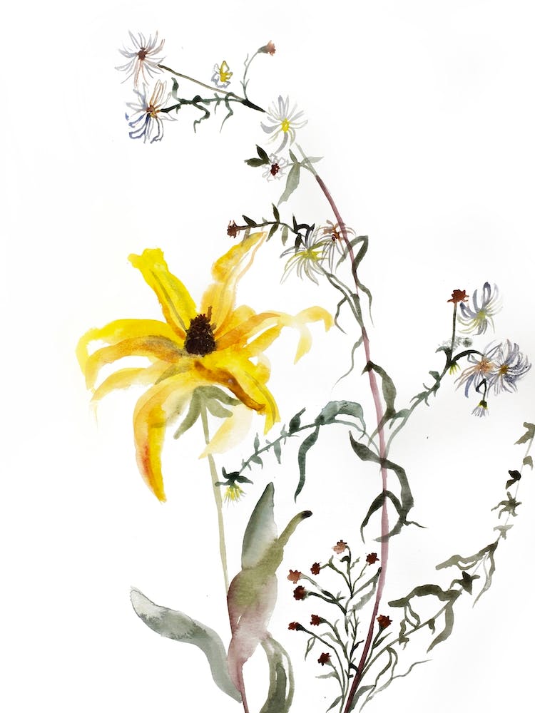 Meadow Study 3