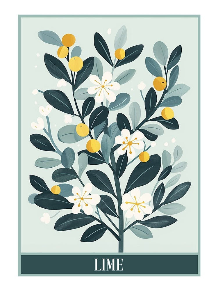 Lime Tree Flat Illustration 7 Poster