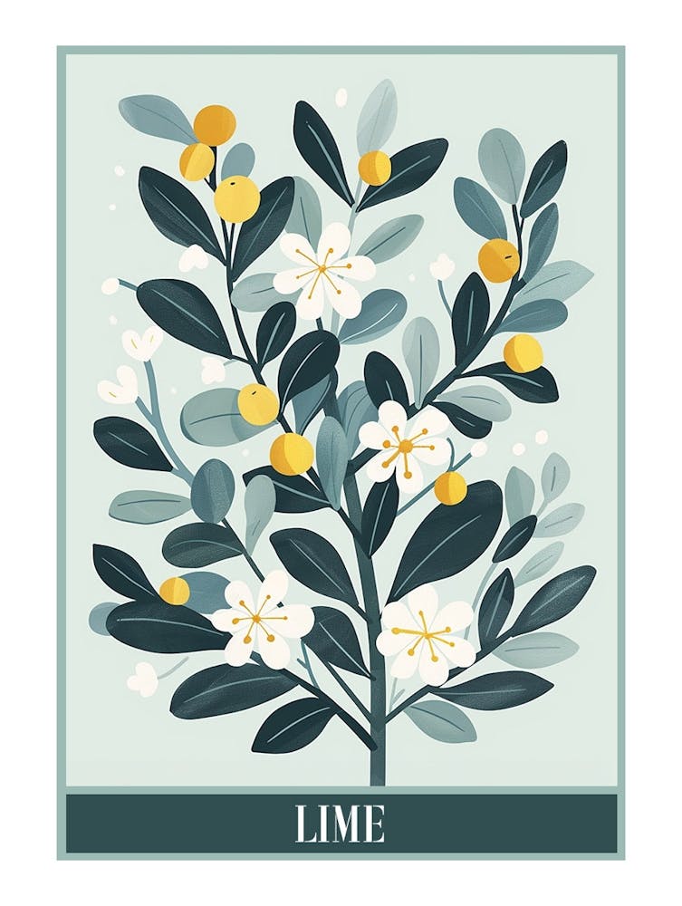 Lime Tree Flat Illustration 7 Poster