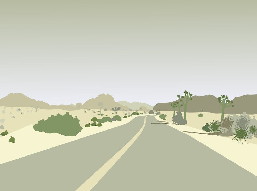 Joshua Tree Road In California