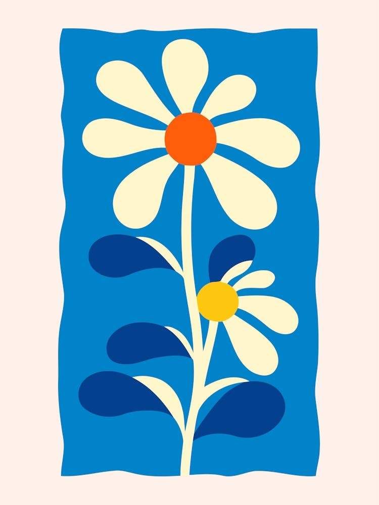 Daisy 3