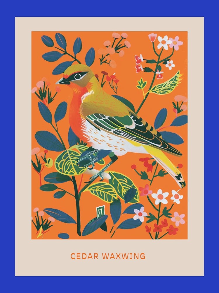 Spring Birds Poster Cedar Waxwing 3