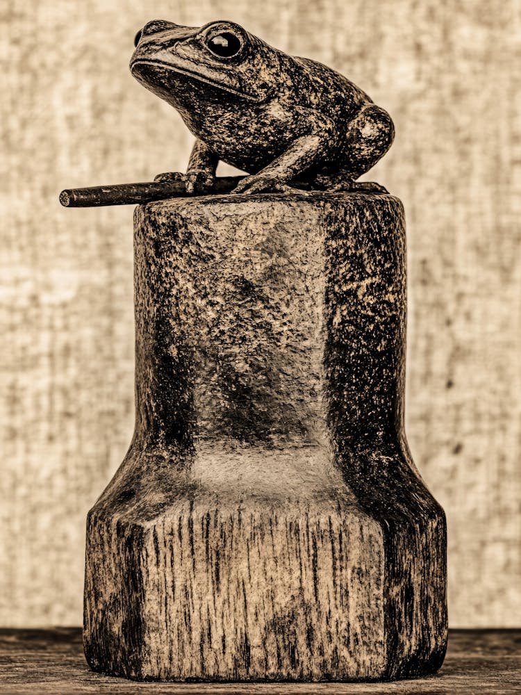 Frog On A Wooden Block