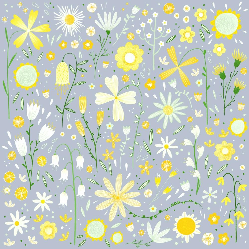Yellow And White Wild Flowers on Blue Gray