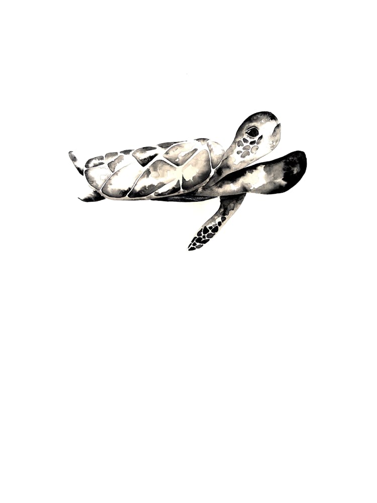 Sea Turtle Watercolour