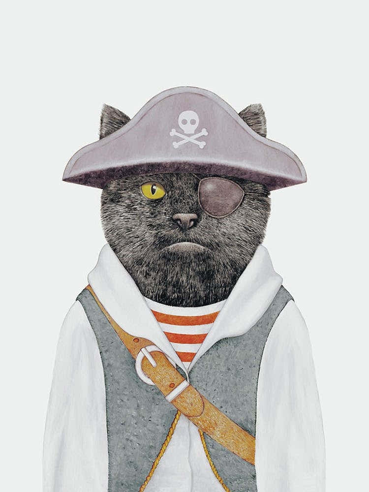 Pirate Cat