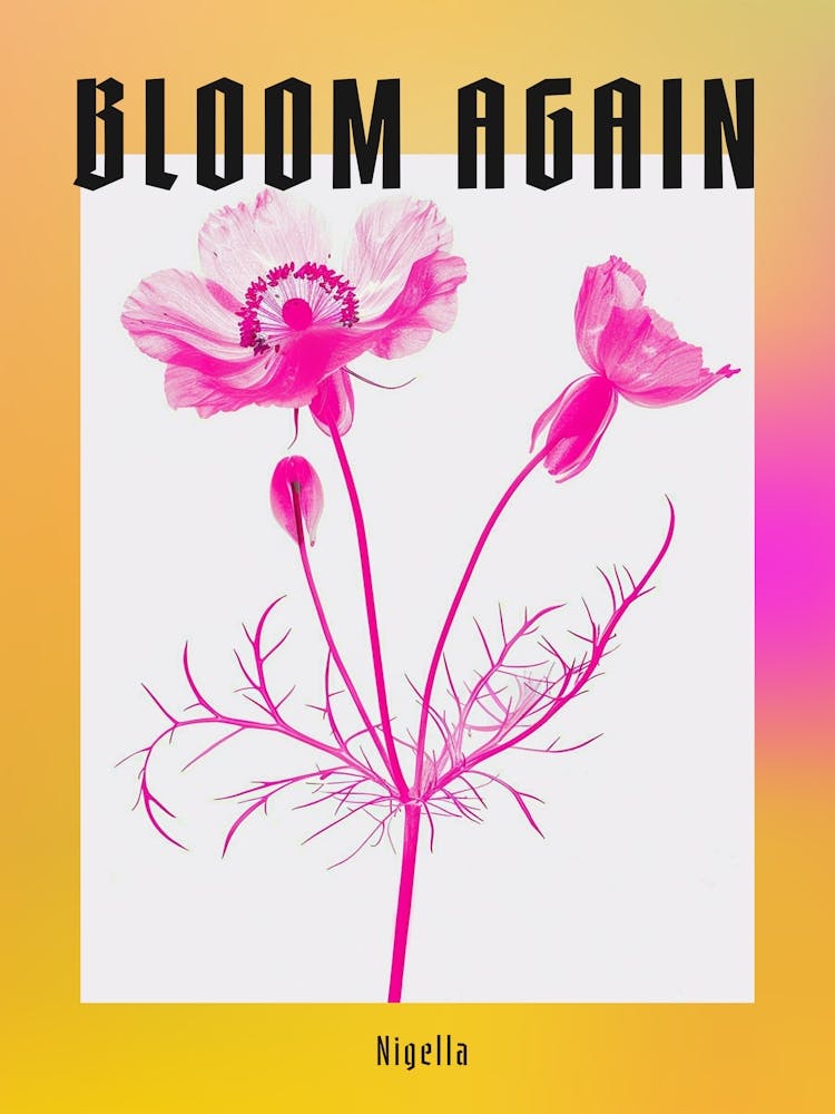 Hot Pink Nigella 2 Poster