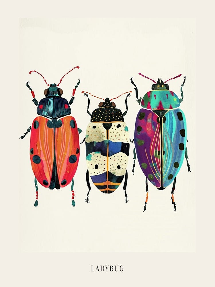 Colourful Insect Illustration Ladybug 29 Poster