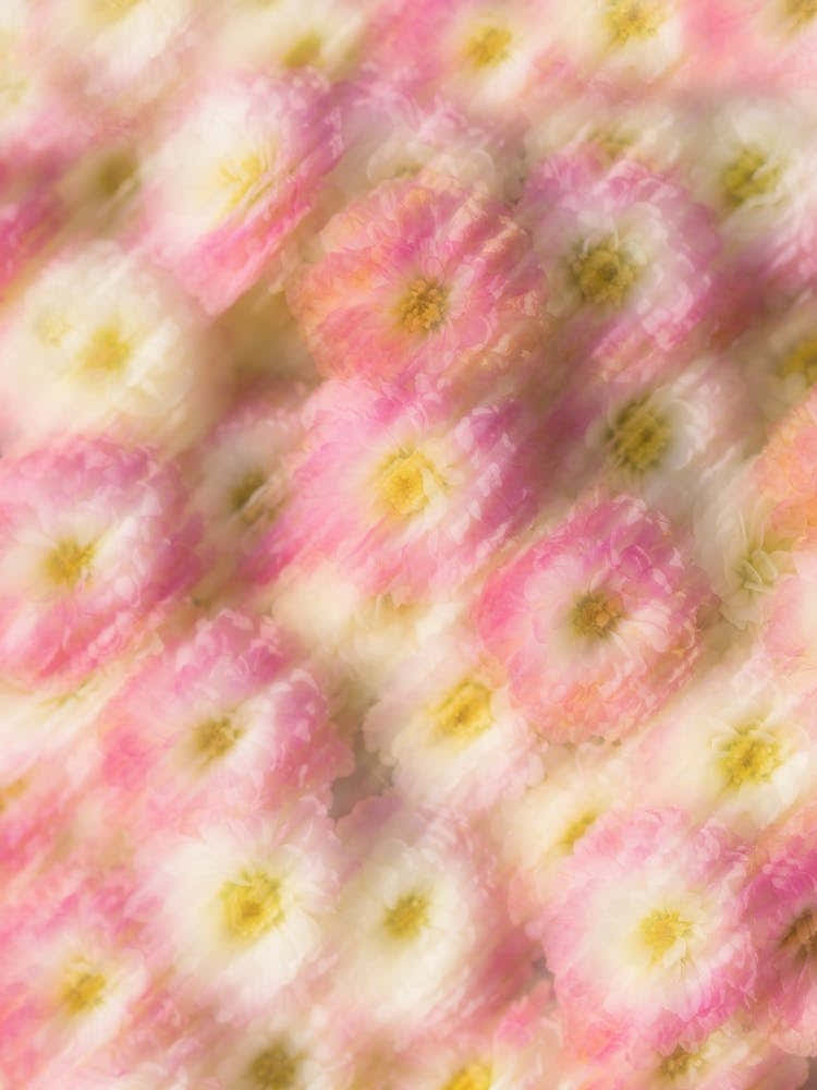 Blurred Moving Spring Flowers 1