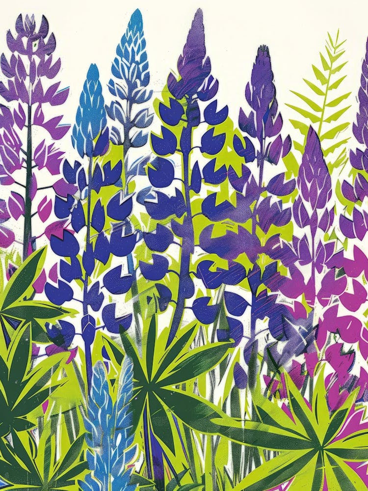 Lupins