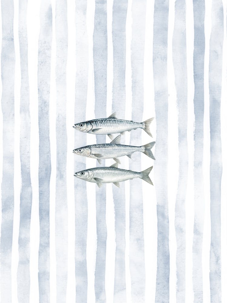 Light Blue Watercolor Sardines Print Kitchen Wall Art Fisherman Aesthetic Coastal Decor