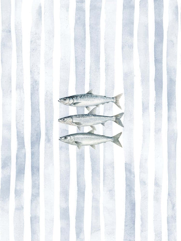 Light Blue Watercolor Sardines Print Kitchen Wall Art Fisherman Aesthetic Coastal Decor
