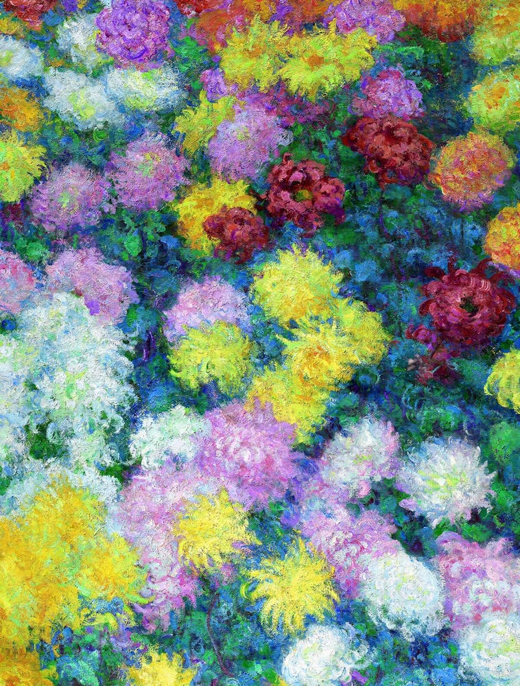 Claude Monet - Chrysanthemums In The Garden